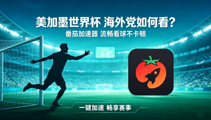 在韩国看央视频世界杯中文解说仅限中国大陆？海外党体育观赛终极破局指南