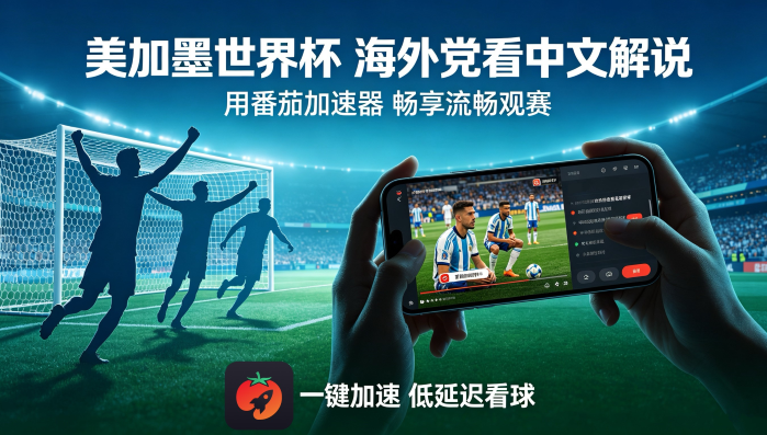 在俄罗斯看世界杯无法播放教程